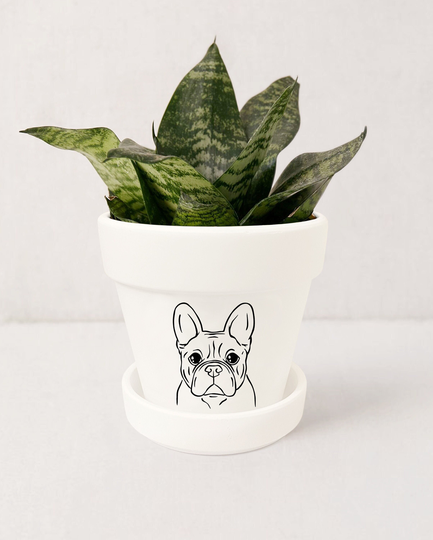 French Bulldog Planter, Frenchie Decor, Dog Lover Gifts, Indoor Succulent Pot with Saucer | Plants Not Included | White