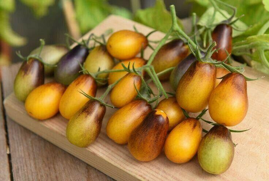 Vegetable - Tomato Cherry Indigo Pear Drops 40 Premium Quality Seeds