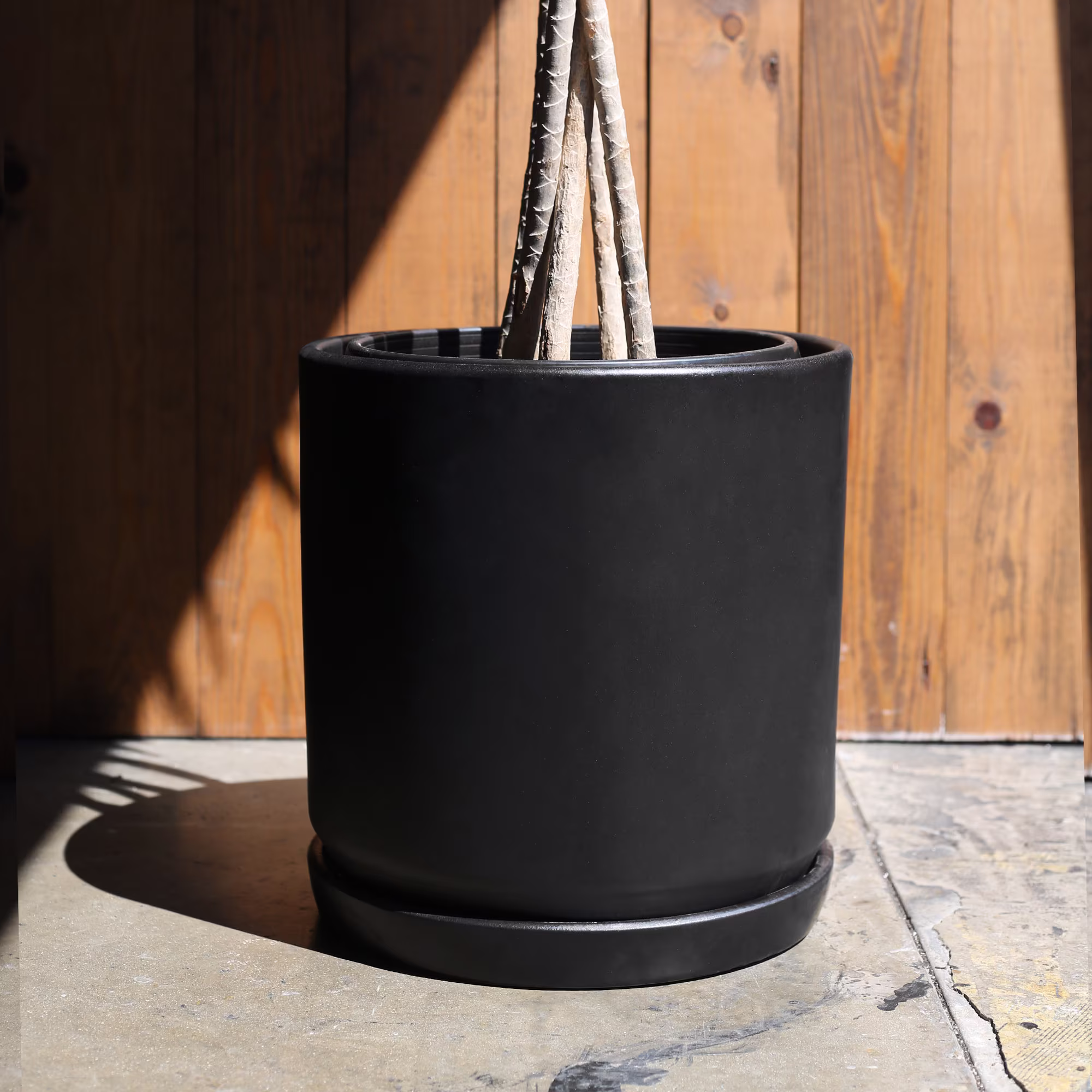 xxl Mid Century Modern Pot For Plant, Glazed Ceramic Planter, Black Cylinder Plant Pot, Optional Saucer | 15 Inch, 18 Inch