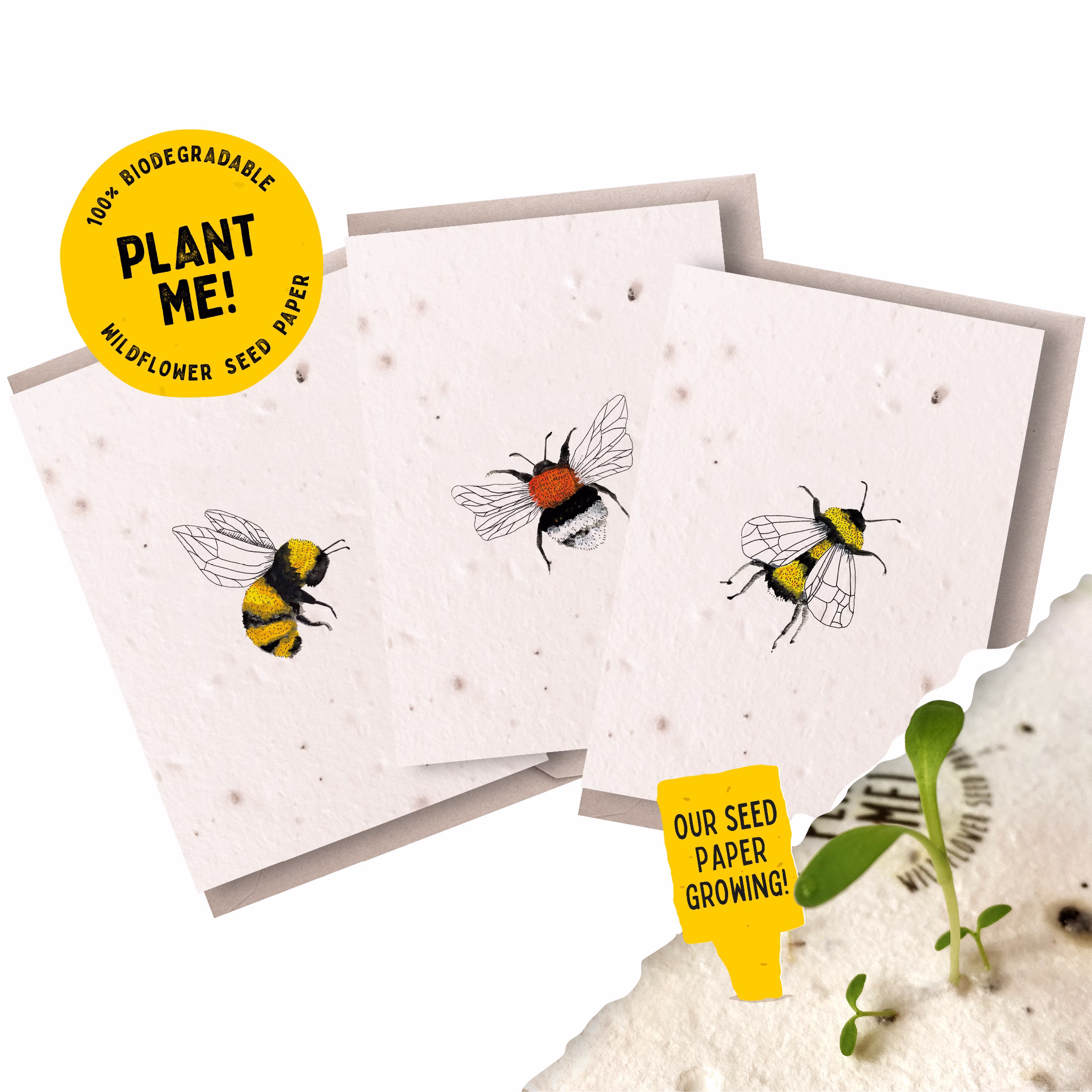 Plantable Seed Notecards | Bee 100% Native British Wildflowers Handmade Cards