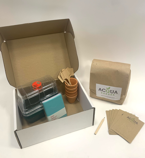 Children's Deluxe Grow Your Own Kit