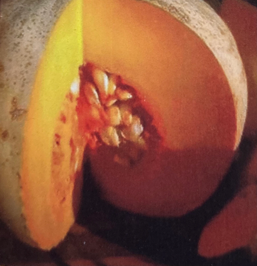 Organic Heirloom Non Gmo Sweet Meat Winter Squash