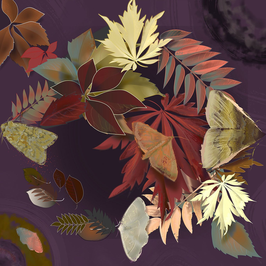 Moths Botanical Poster/Autumn Gifts Prints Four Seasons Art Nouveau Print
