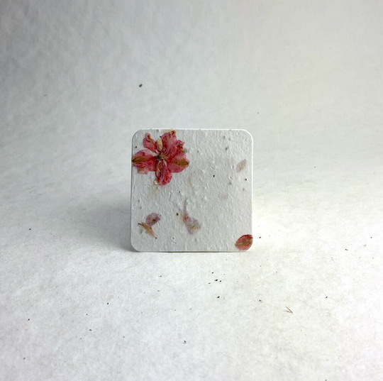 Seed Paper Rounded Squares - 2.5