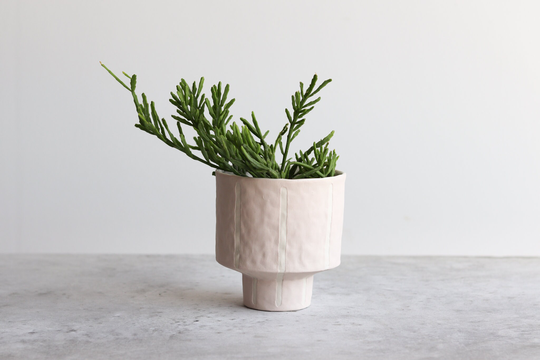 Pinstripe Planter - Summer Sweet