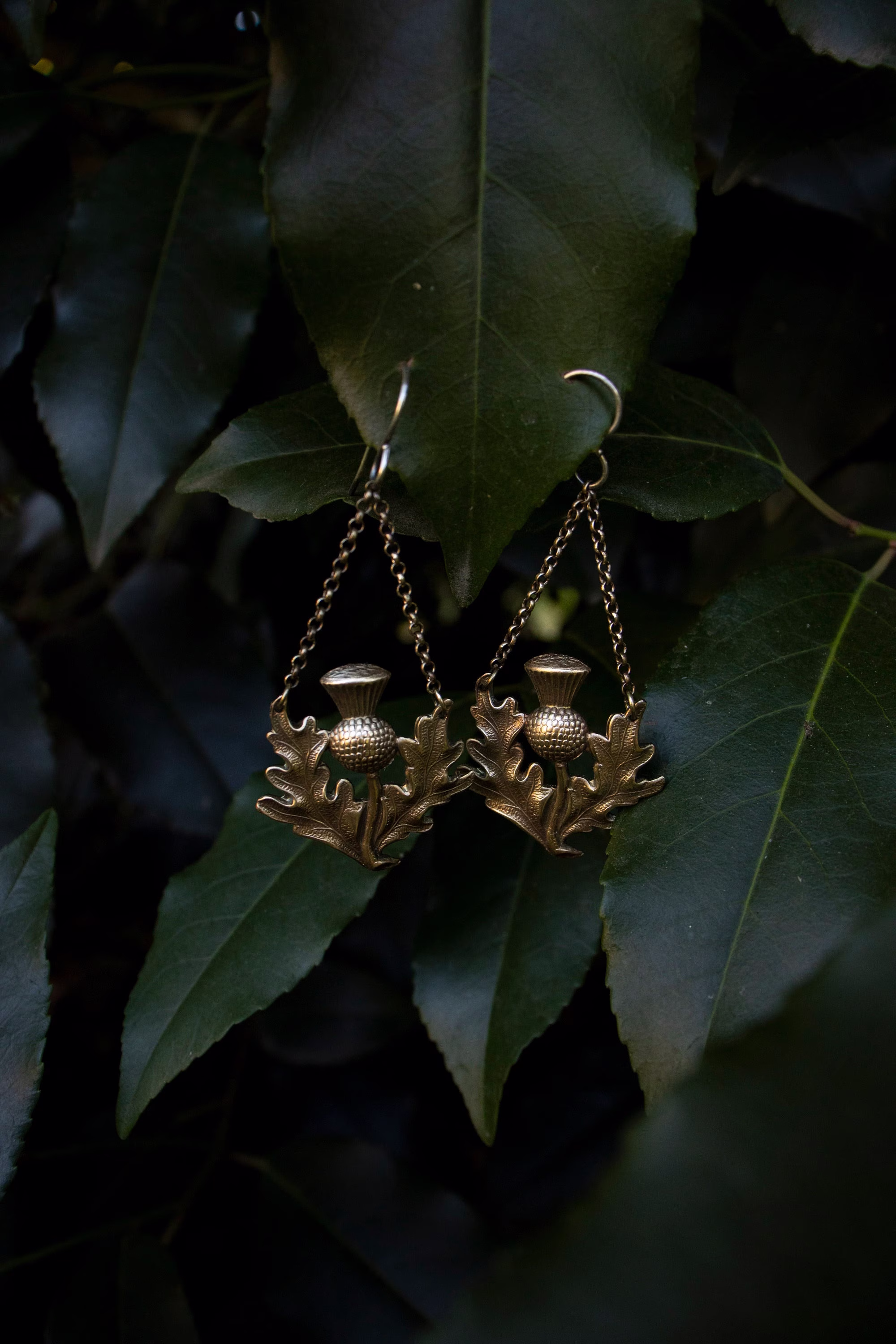 Thistle Earrings/Thistle Jewelry/Herbal Earrings/Goddess Earrings/Witchy Earrings/Brass Earring/Pagan Earring/Scottish Earring/Chain Earring