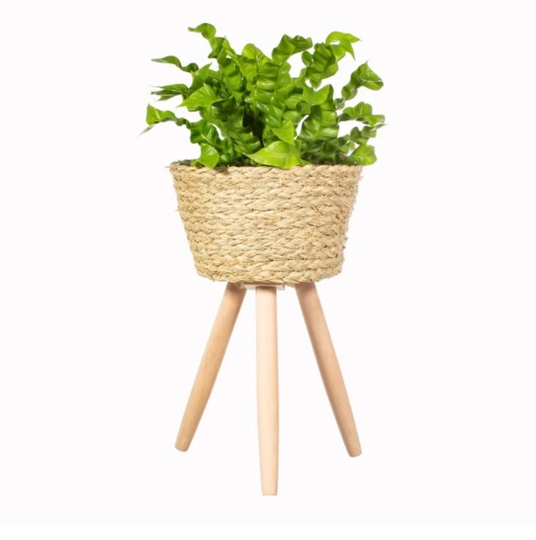 Large Basket Planter, Planter On Legs, Woven Legs
