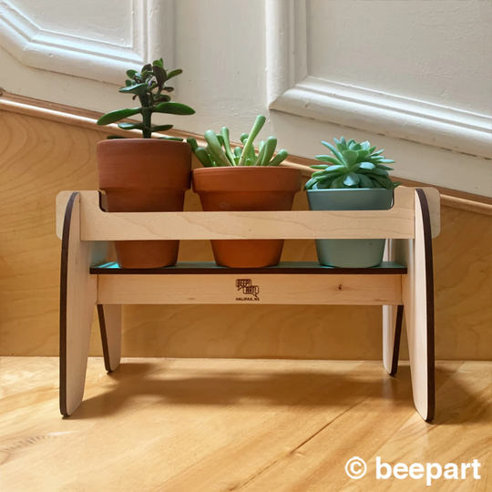 Beverly Wood Plant Shelf, Wooden Holder, Stand, Caddy, Small Plants, Succulents, Cactus, Indoor House