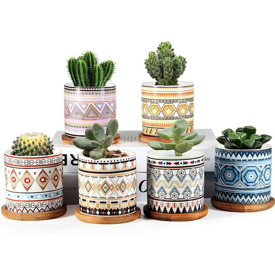Briday - Succulent Planter, 3 inch Ceramic Mini Succulent Pots, Mandala Pattern Round Small Flower Pots with Drainage and Bamboo Tray, Pack of 6