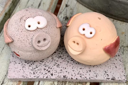 Pig Salt & Pepper Pots Handmade By Darwinworkshop