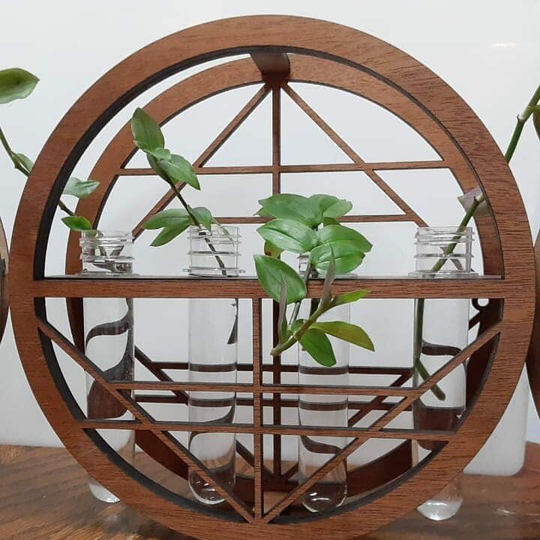 Plant Propagation Display