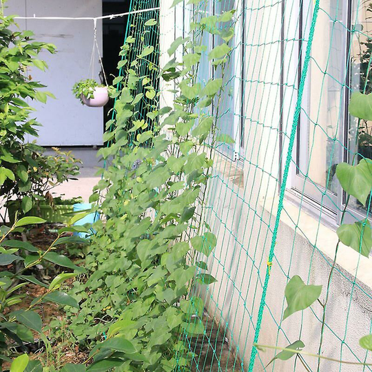 1pc Garden Plants Climbing Net Plastic & Nylon Net Morning Glory Flower Vine Netting Support Net Grow Net Holder Trellis Netting Thsinde