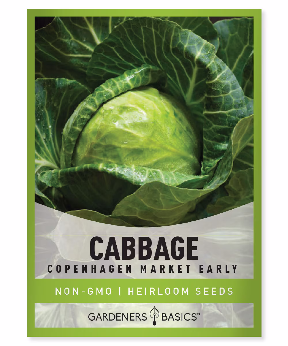 Cabbage Seeds For Planting - Copenhagen Market Variety Heirloom, Non-Gmo Great Summer, Spring, Fall, & Winter Gardening