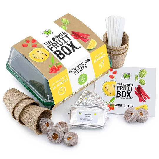 Grow Your Own Fruit Kit - Six Fruit Varieties To Grow