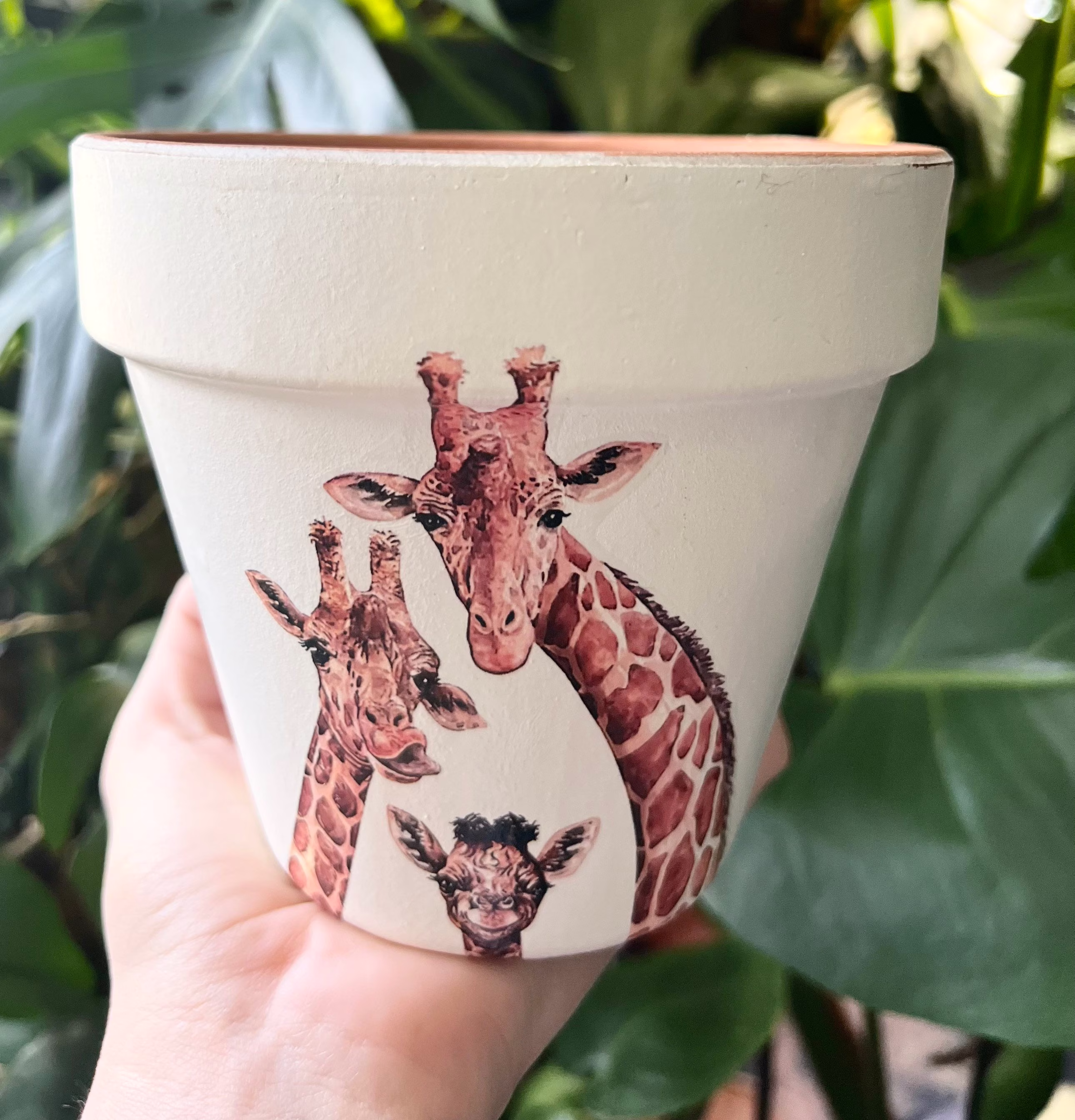 Giraffe Home Decor, Plant Pot, Gift, Giraffe, Animal Giraffe Safari Terracotta