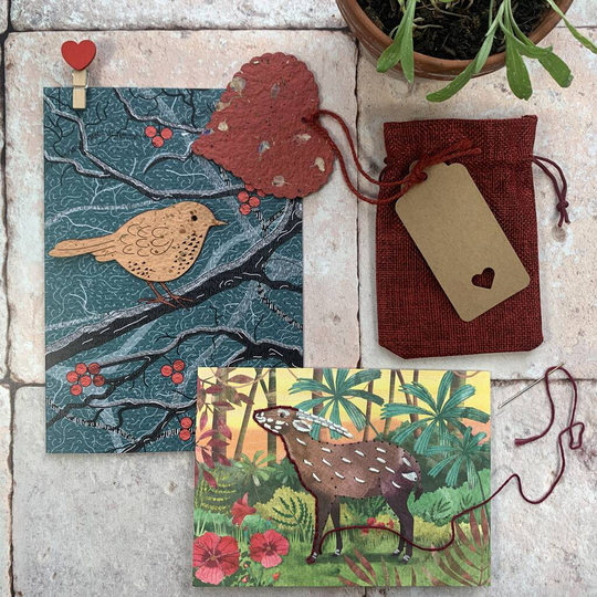 Romantic Plant And Craft Gift Set