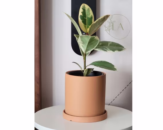Mid Century Modern Style Ceramic Planter Pot with Drainage Hole & Saucer, Boho Minimalist [Lovely A'bode, 6.7 Inch Pot] Dark Orange