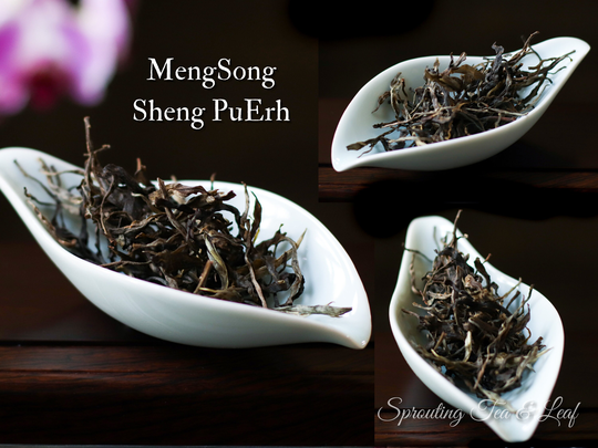 Assorted Loose Leaf Sheng Puerh Tea From Yiwu, Laomane, Mengku, & Mengsong
