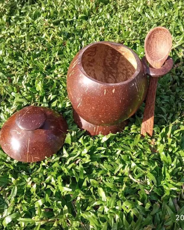 Salt Container Made From Coconut Shell With Wood Spoon Eco Friendly Handmade Natural Coconut Organic Bowl