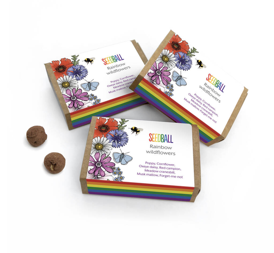 Pride Rainbow Wildflower Seed Balls Pack Of Three