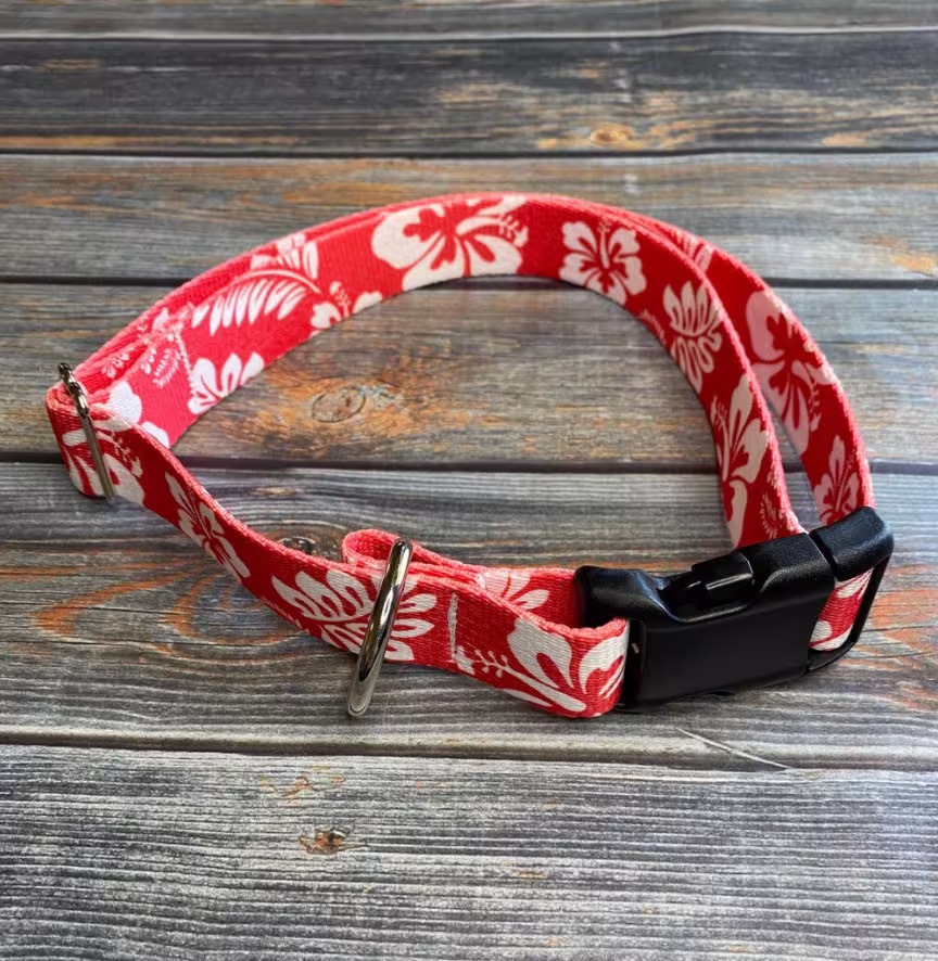 Oahu Red Hibiscus Dog Collar