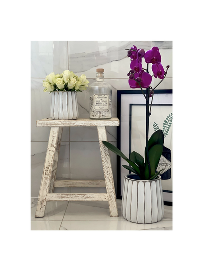 Ribbed Cream Ceramic Plant Pot, 2 Sizes, House Planter, Large