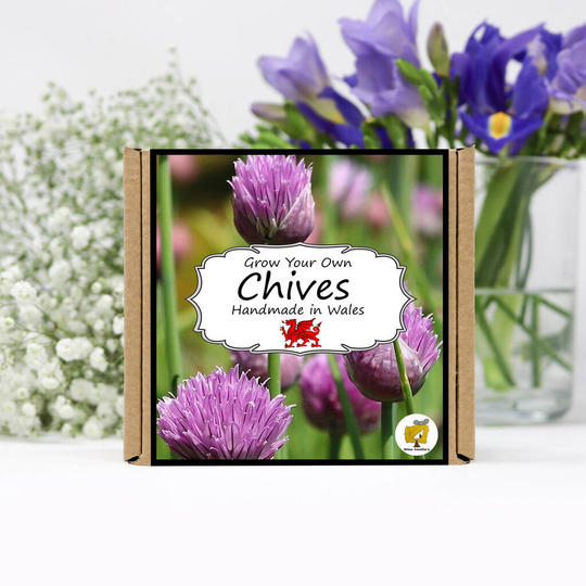 Grow Your Own Herbs Kit / Chives