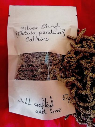 Silver Birch - Catkins 10G