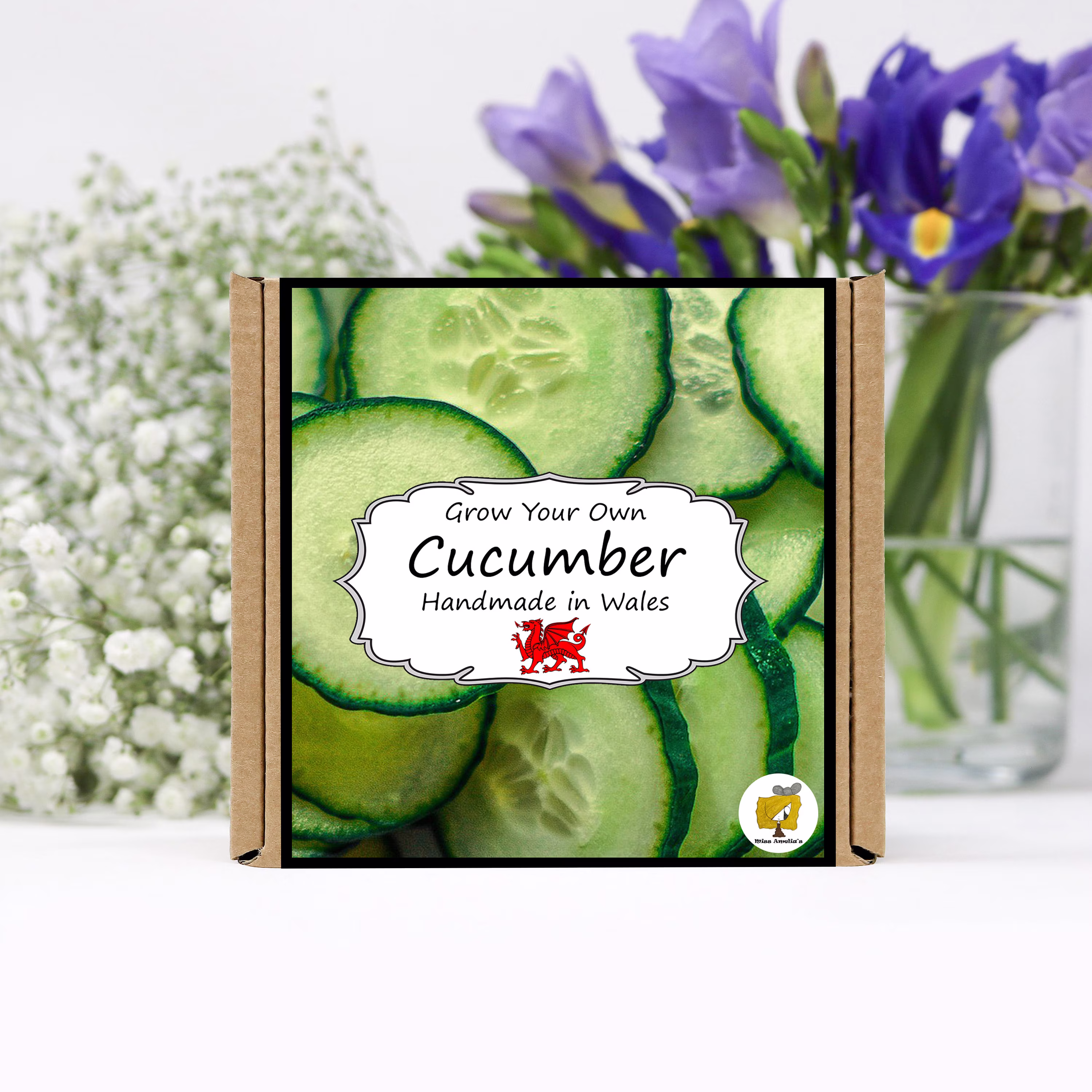 Grow Your Own Cucumber Plant Kit. Seeds Growing Kit. Gardening Gifts For Women, Men, Him, Her, Grandad & Children