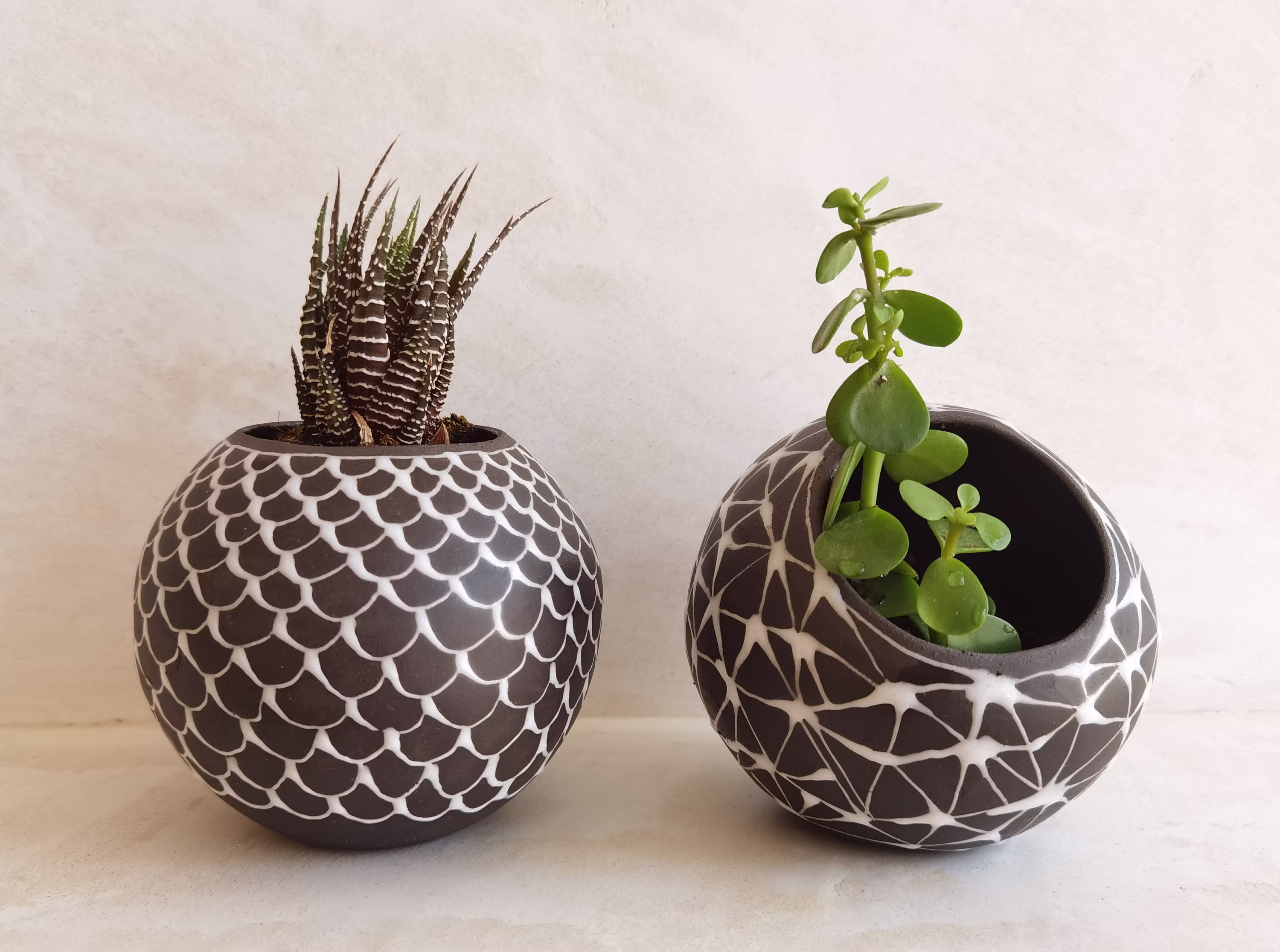 Set Of 2 Small White & Black Ceramic Planter, Succulent Planter Pot, Modern Black Indoor