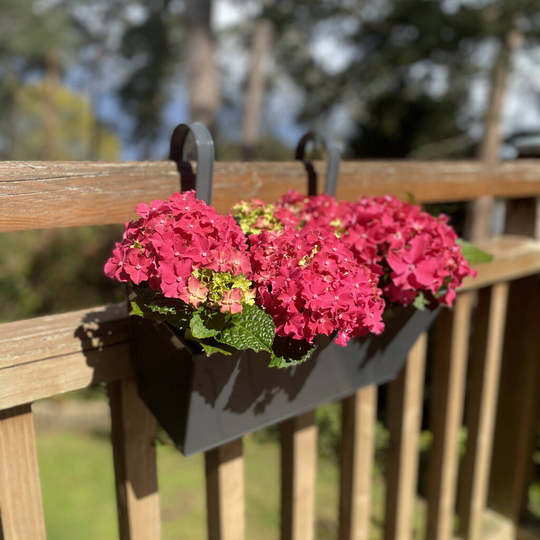 Pair Of Charming Charcoal Grey Hanging Balcony Planters