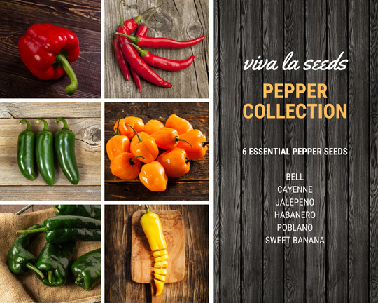 Pepper Seed Collection | 6 Amazing Varieties Ranging in Spiciness 20% Savings