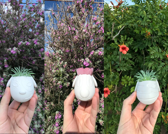 Lucky Cherry Cookie Succulent Planter | Home Decor Modern 3D Printed With Drainage Indoor