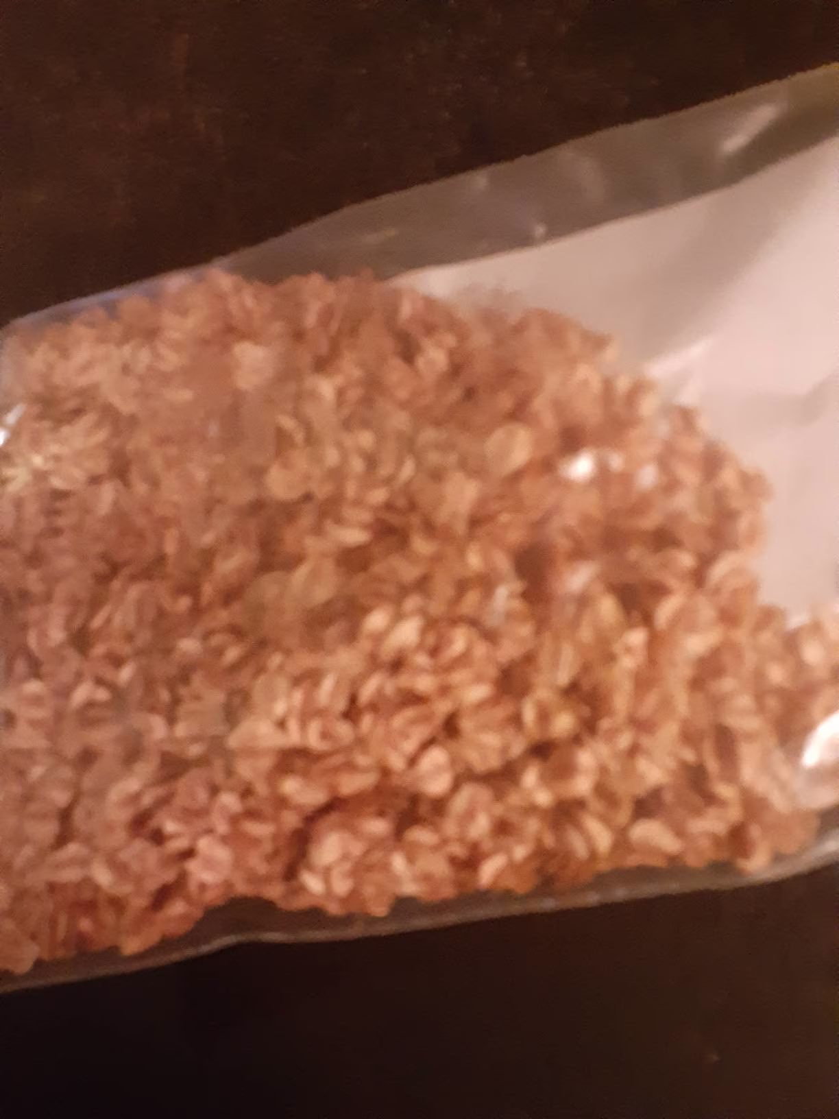 Dawn Redwood Tree Seeds
