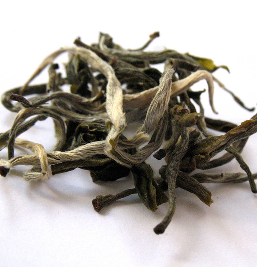Organic White Tea 50g