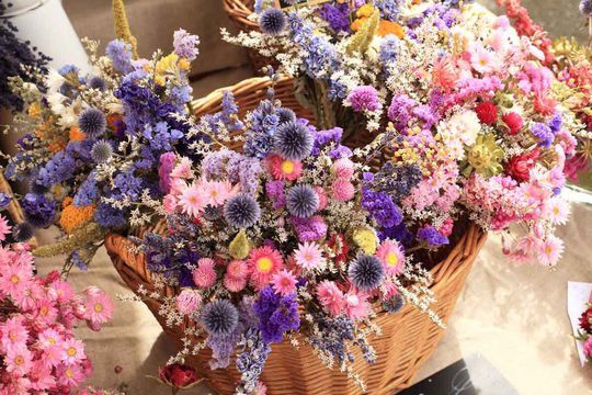 Flower Seeds Dry Flower Winter Bouquet