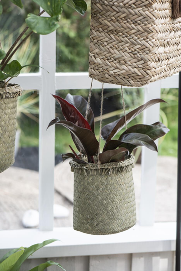 Hanging Basket W/Jute String