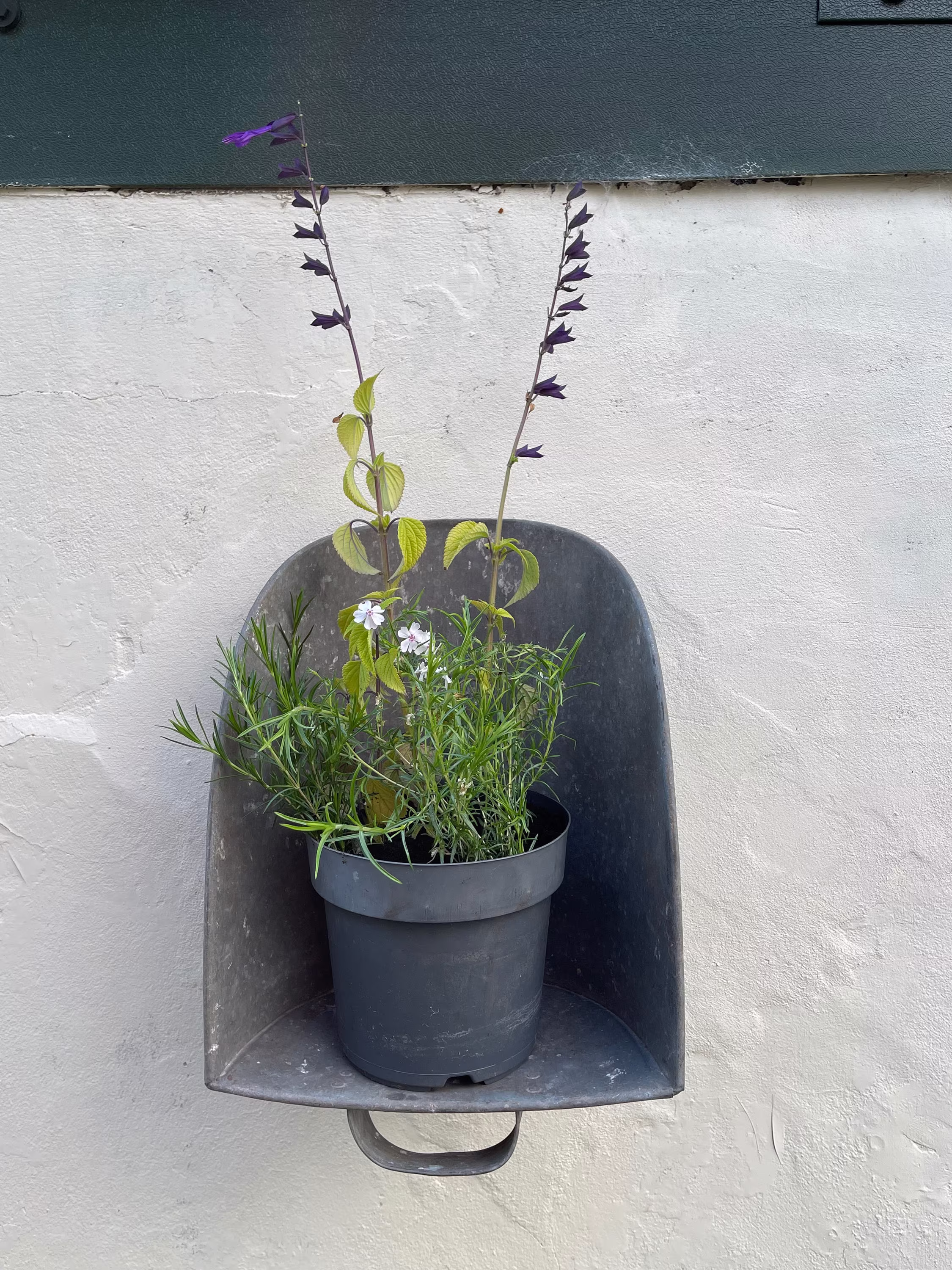 Vintage Galvanised Zinc Hanging Garden Planter