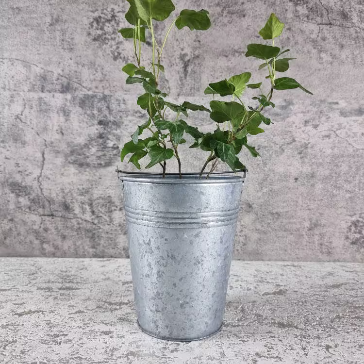 Galvanised Bucket Planter Garden Container. Herbs/Plants Flower