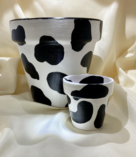 Painted Plant Pots