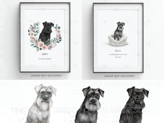 Personalised Schnauzer Print, Black Schnauzer, Miniature Schnauzer Illustration Gift, Giant, Salt & Pepper