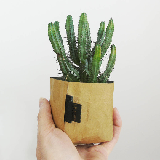 Natural Creased Paper Planter