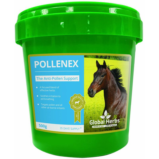 Global Herbs - Pollenex - 500 Gm - POLLENEX500G