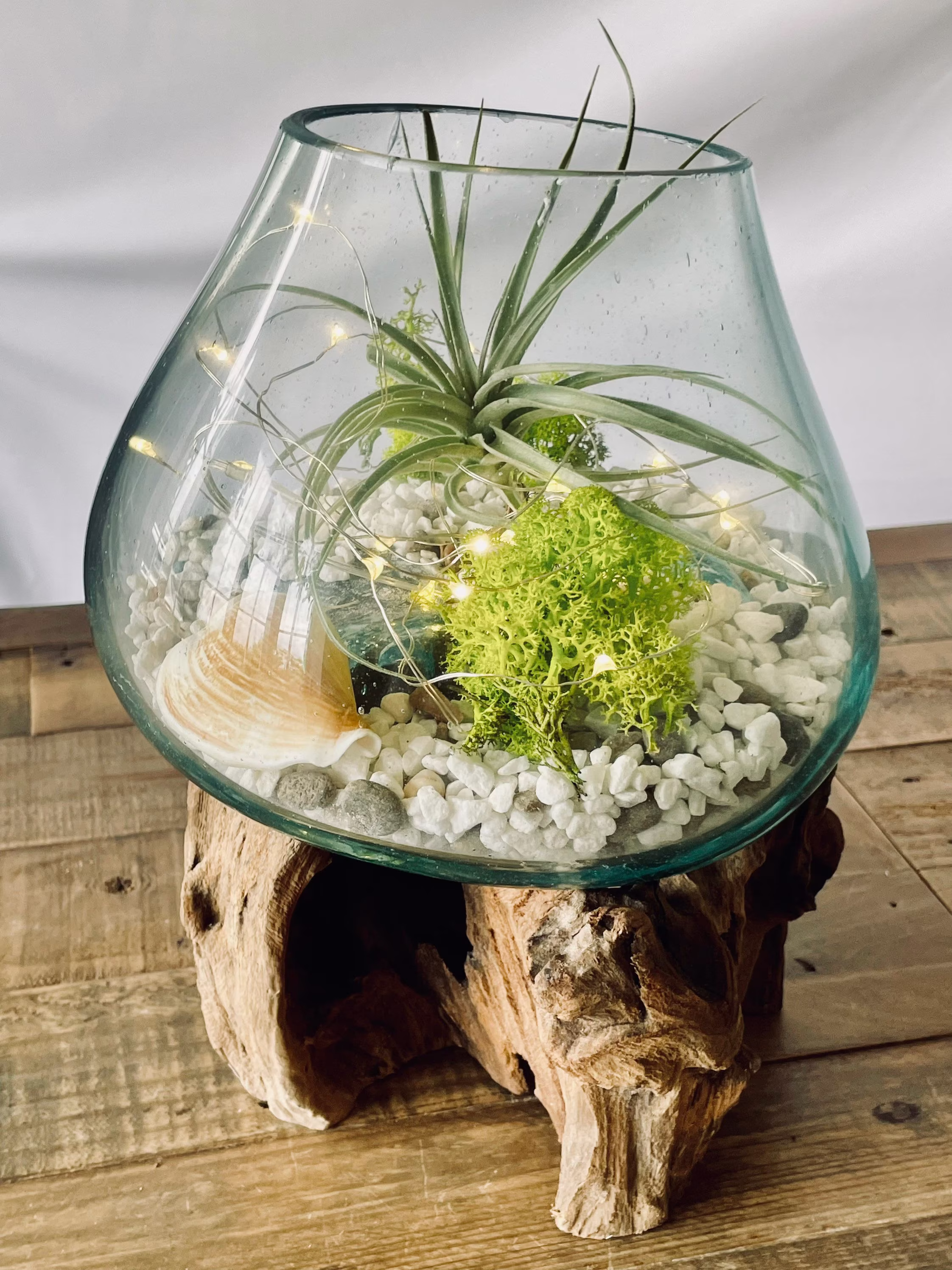 Molten Glass On Wood Root Base, Diy Plant Terrarium With Air Plant. Glass Terrarium. Open Option Mister, Lights, Fertiliser