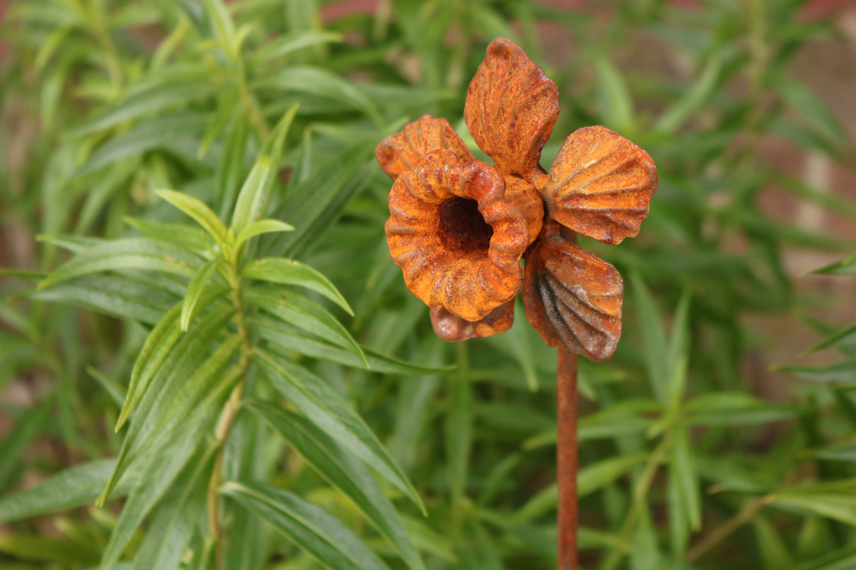 Metal Daffodil Flower Decorative Garden Plant Support Stake. 1.12M