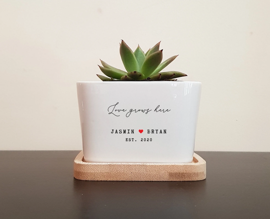 Personalised Planter For Succulents, Cacti, Love Grows Here, Custom Message Plant Pot, Gift Anniversary, Couple, Engagement, Wedding