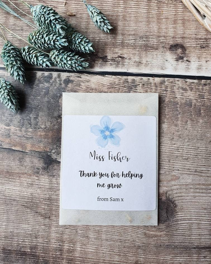 Thank You Teacher Wildflower Seeds Gift - Bee Friendly