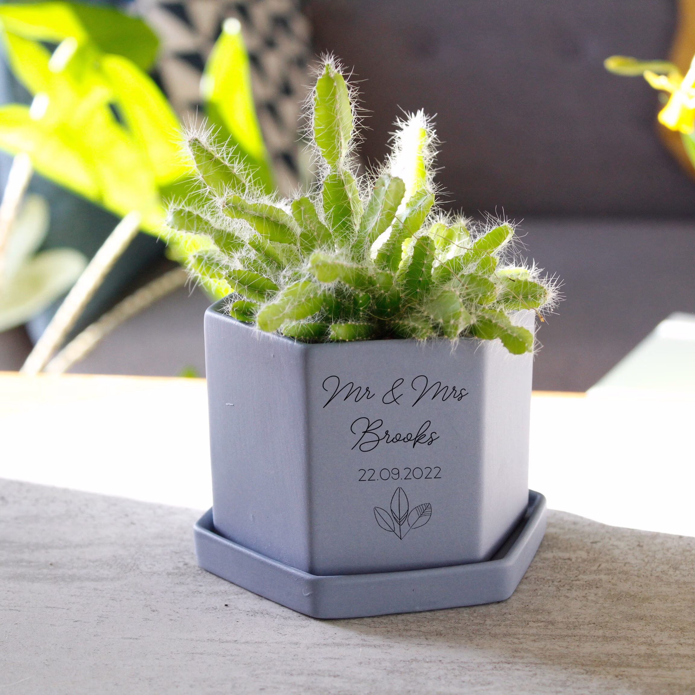 Personalised Wedding Day Hexagon Plant Pot - Cacti Gift Anniversary Present