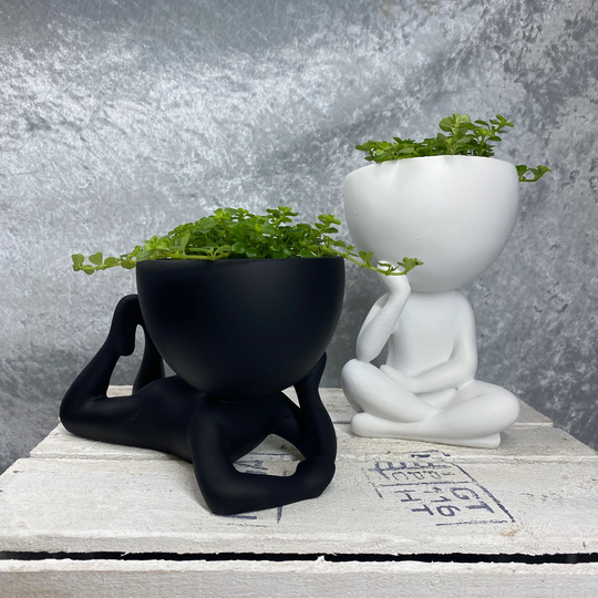 Amigo Houseplant Planter Pot - Available in Black & White Cute Gift