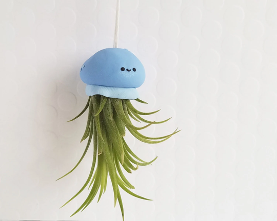 Jellyfish Air Plant, Summer Gift, Hanging Plant Best Of Summer, Ocean Decor, Holder, Office Gift